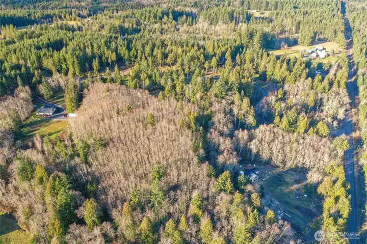Once Property is cleared, it opens up views of Mount St. Helens, Rainier, and Adams