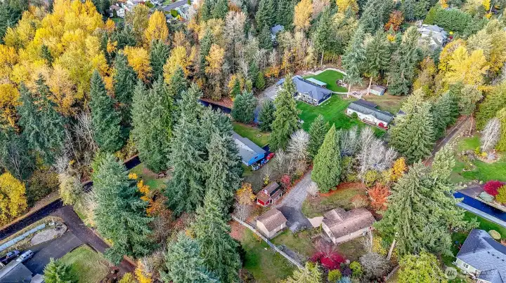 Gorgeous view in the fall, photo does not capture fully enclosed pasture on the lower portion.