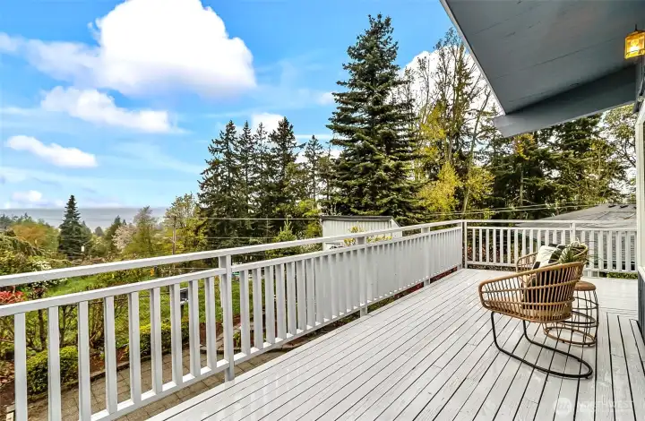 View of the Puget Sound. You Should See It In Person.