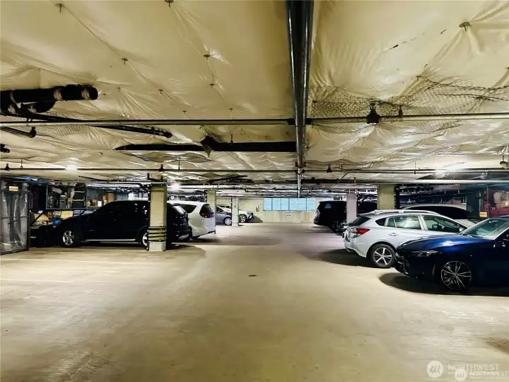 Secured garage with dedicated parking spot and storage cage