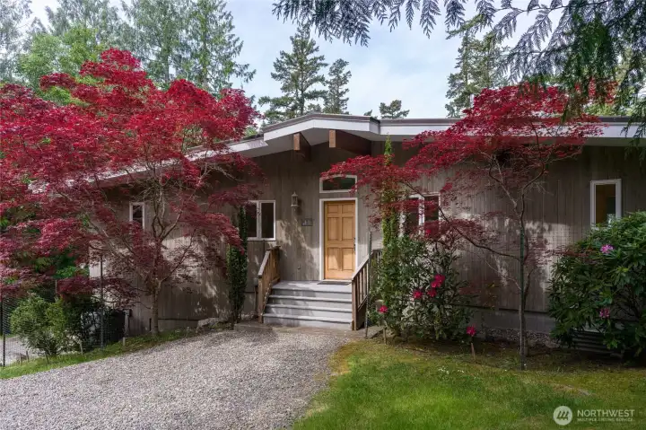 Japanese maples frame the front door.