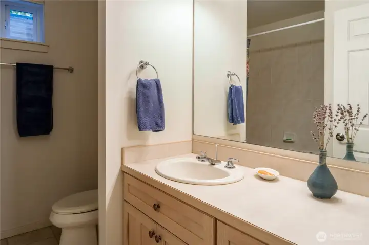 Lower level guest bathroom includes a jetted tub.