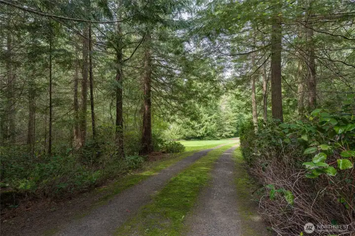 Part of the driveway.