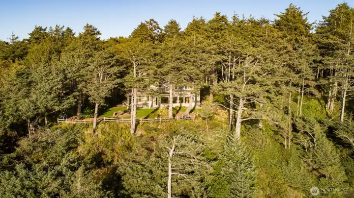 The eagles nest in the surrounding trees and offer lots of entertainment.