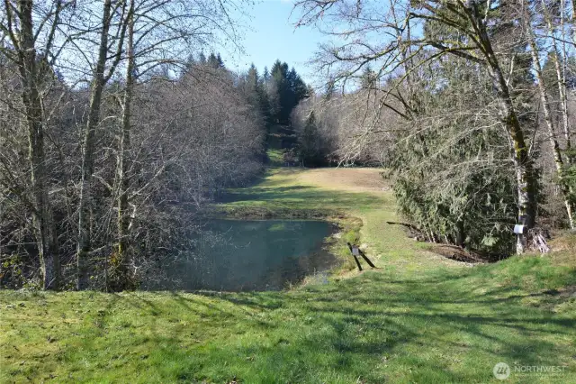 Lake Front Picnic Area
