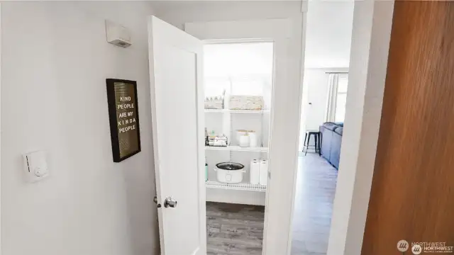 HUGE Walk in Pantry