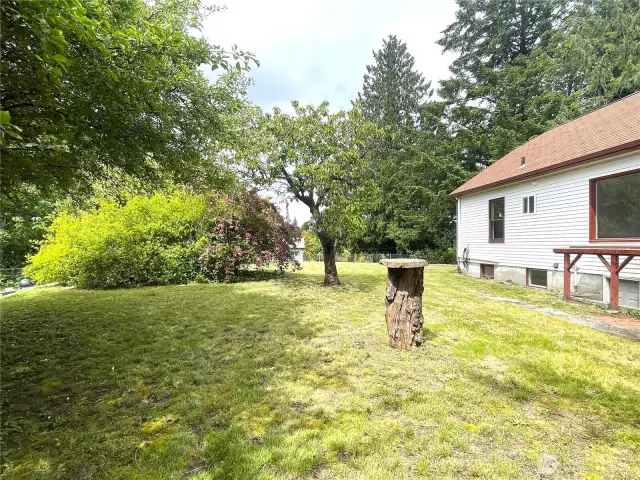 Nice back/side yard here. Flowering plants and a fruit tree.