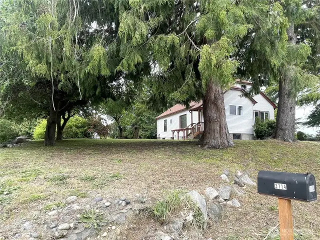 Large cedar and other evergreen trees grace the property.