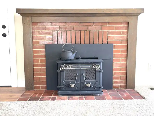 A Triumph brand iron wood stove with nice trim.