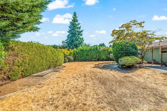 Big yard!