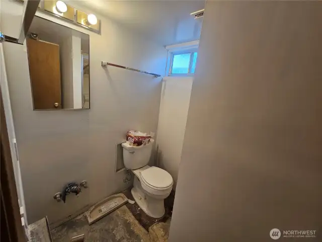 Basement Bathroom