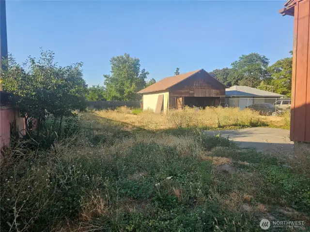 Back yard