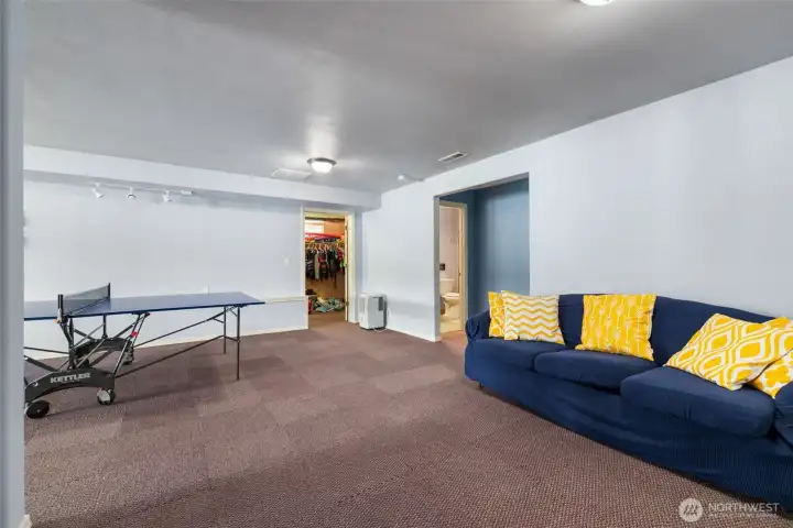 Downstairs recreation room with a large storage area with all you lake play gear.