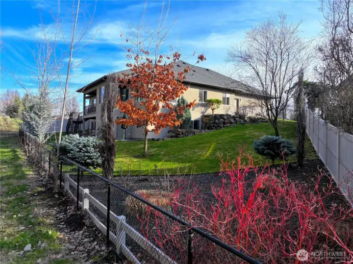 Backyard with Generous Setback