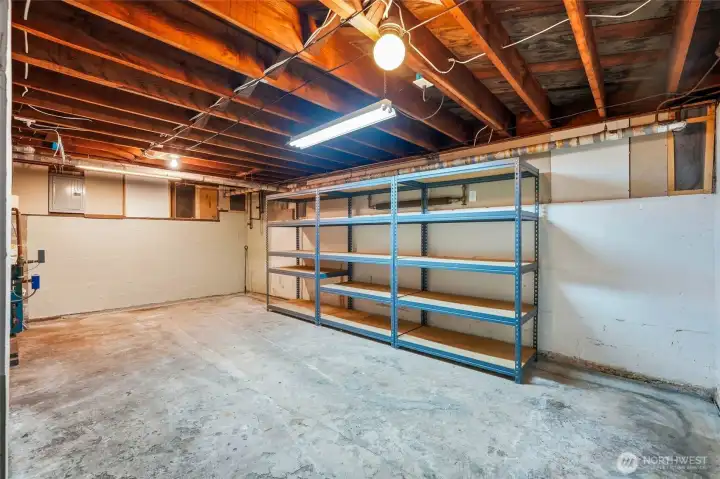 Basement - Perfect Future Wine Cellar!