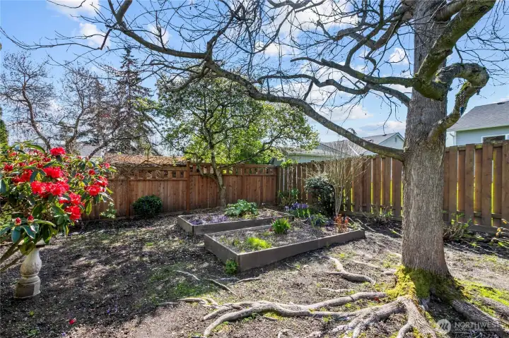 Fully fenced backyard with lawn, mature landscaping, and garden space—ideal for outdoor enjoyment, pets, or entertaining.
