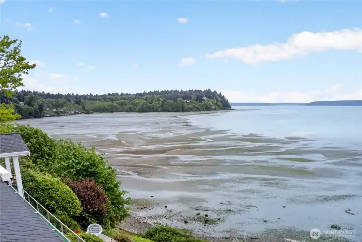 Watch the Heron and Seagulls work the beach at low tide.