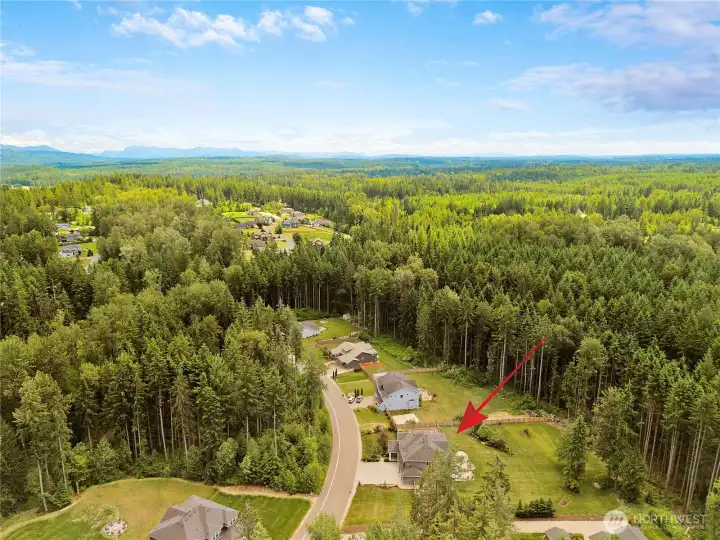 Premium Lot Surrounded by Forest on Front and Back of House.