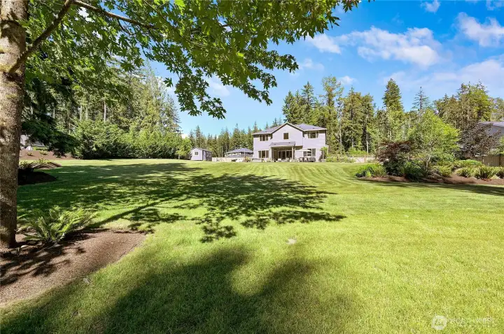 Extra Large Premium Flat Backyard.