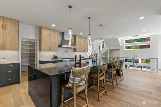 What a fantastic entertaining kitchen you will love all the cabinet space, the beautiful hardwood floor and walk in pantry