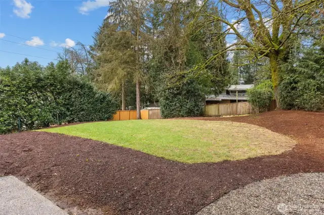 Another view of the backyard oasis