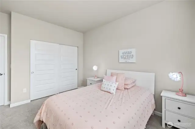 Plush Carpet