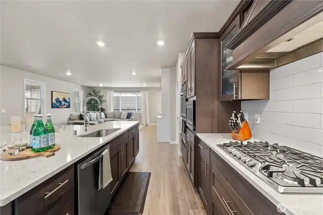 Gas Cooktop & Walk-in Pantry