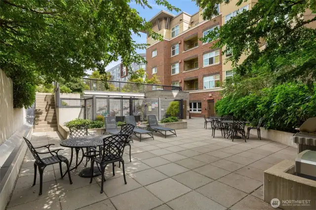 The amenities patio features two BBQs, chaise lounges, outdoor tables, and a jacuzzi spa.