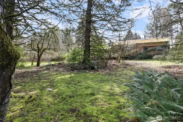 Another view of the land and house
