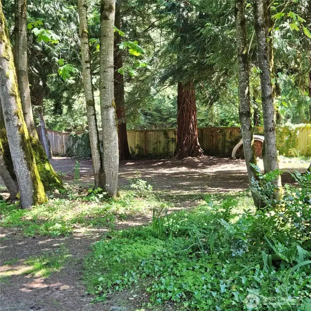 Fenced in all directions except facing 115th.  Gardening potential as well