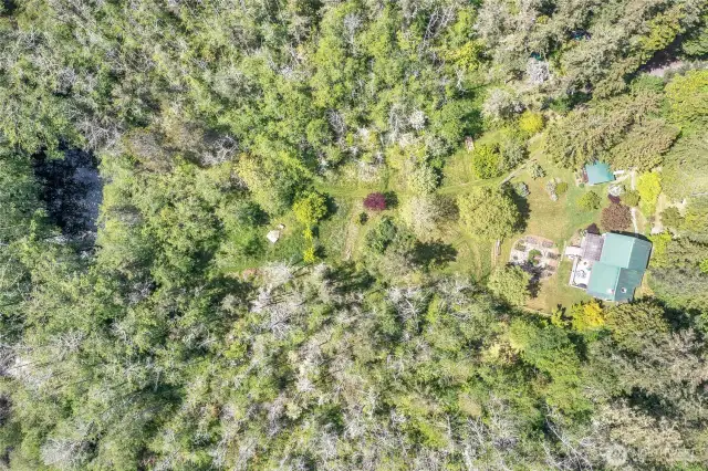 Here is an aerial showing the pond at the south of the property. Another pond graces the area to the east of the home. So much wildlife to observe!