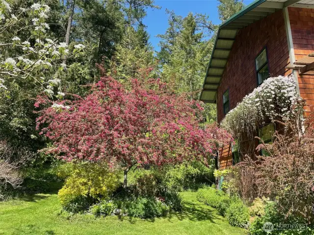 Flowering trees create a tranquil and aromatic environment.