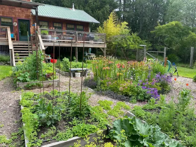 A garden in it's full glory!