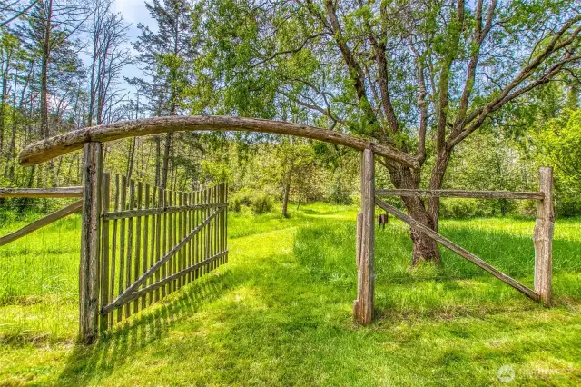 A large gate leads to the acreage where you'll find a lovely pond streaming with willows, wildlife, fruit trees, and more level space for planting.