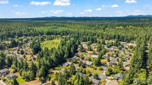 just across from miles and miles of walking or biking trails in the forest