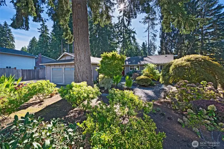 Welcome home to single-level living.