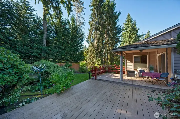Lush, private backyard.