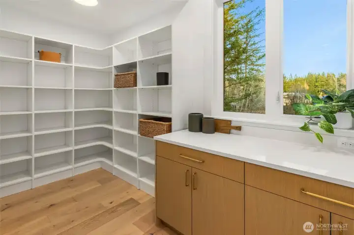 Massive and well appointed pantry off kitchen also supported by custom rift oak cabinets and slab counter prep area