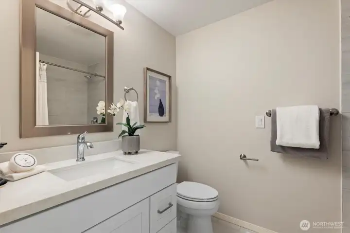 Main level hall bathroom