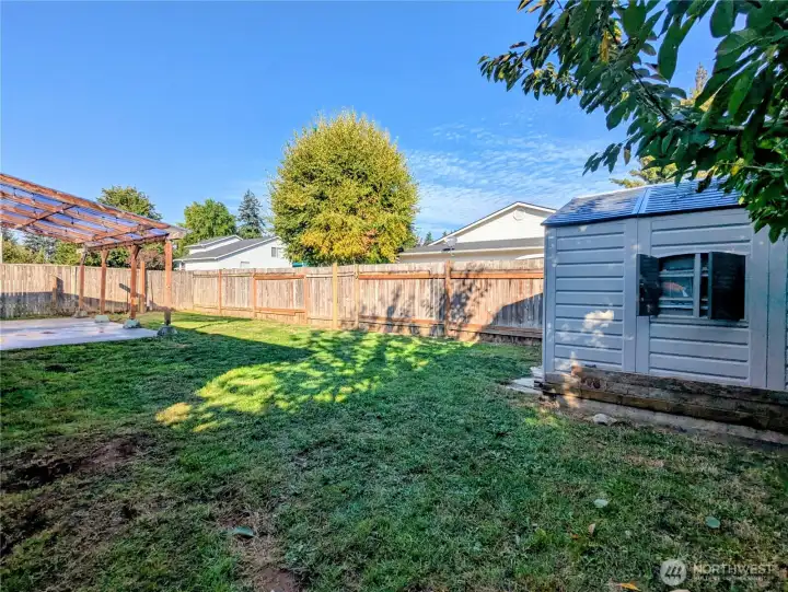 Garden shed or Playhouse?