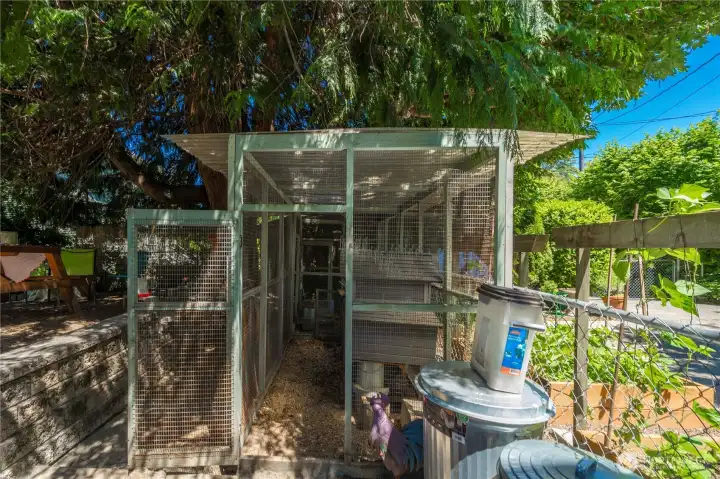 Current Owners raise chickens