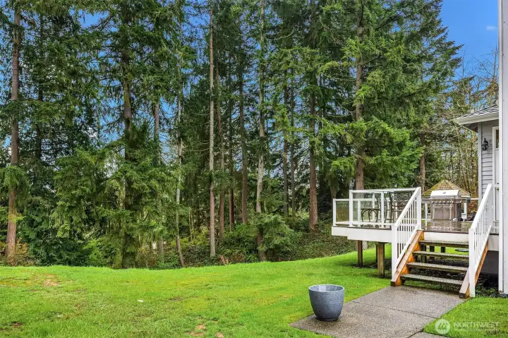 The back yard offers the home with plenty of its own outdoor/yard space, and the native growth provides a privacy buffer to the community park.