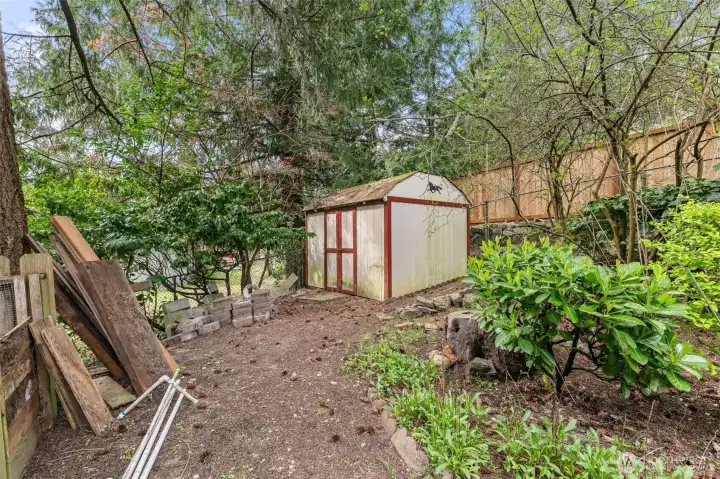 Shed backyard