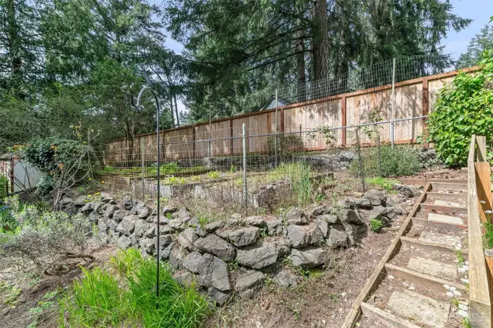 Garden beds backyard