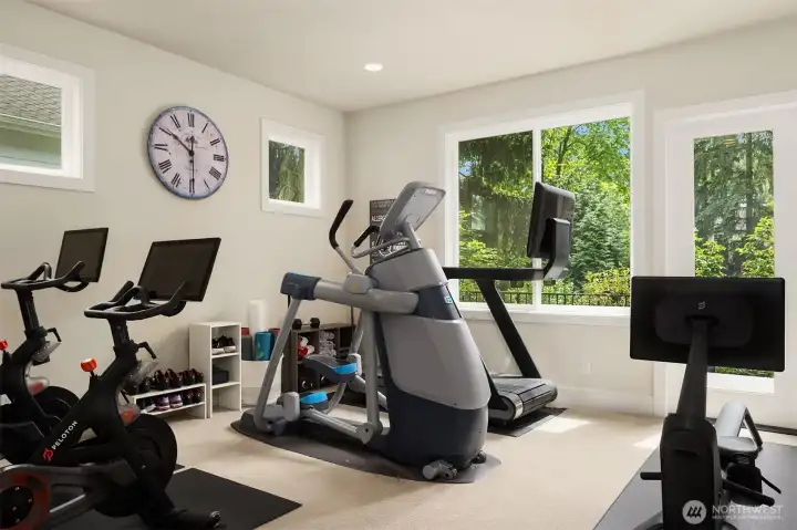 Main floor bedroom with its own en-suite bathroom & laundry. Currently used as a home fitness center.