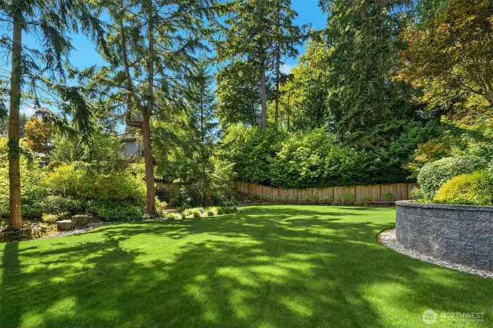 Plenty of room to roam and play on the grassy lawn.