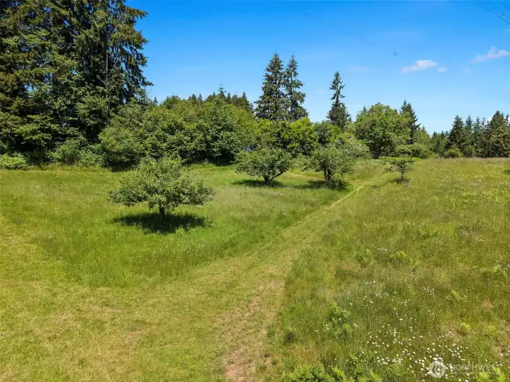 Walking paths on 5 acres. Walking paths on 5 acres.