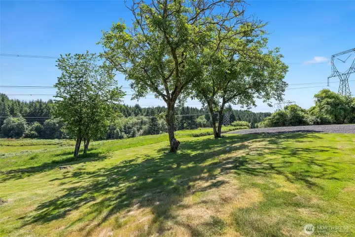 Waking paths and fruit trees. Waking paths and fruit trees.