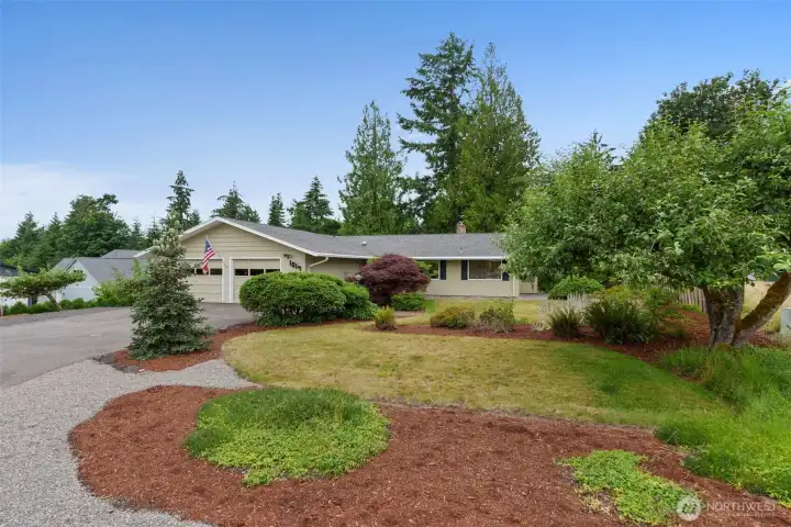 Partially fenced yard, on .24 of an acre, with mature landscaping & pear, apple and plum trees. Partially fenced yard, on .24 of an acre, with mature landscaping & pear, apple and plum trees.