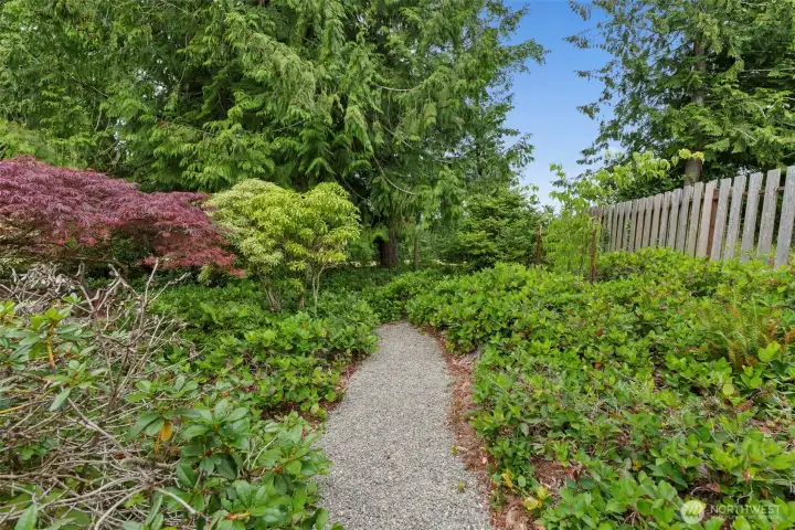 Back Yard. Back Yard.